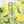 Load image into Gallery viewer, Revenge - Lemon Lime - 10mg THC Seltzer

