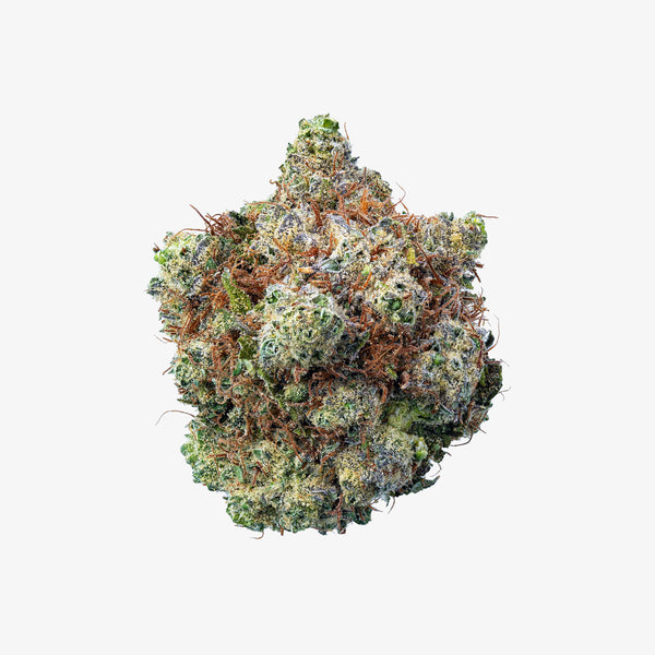 Close-up of a cannabis bud on a white background