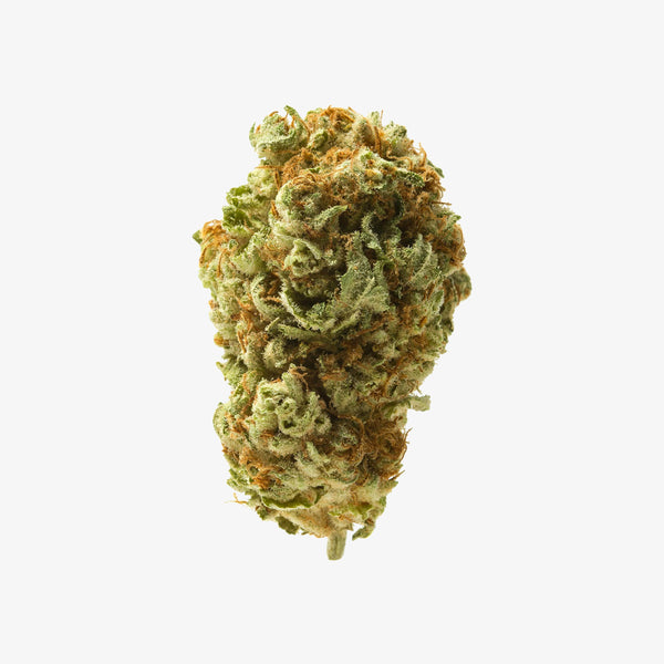 THC-A FLOWER  / CHOCOLATE TRUFFLE / HAZE EXOTICS PLATINUM RESERVE