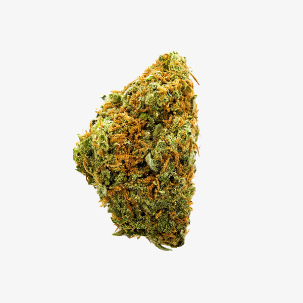 Jungle Juice THC-A flower bud on a white background