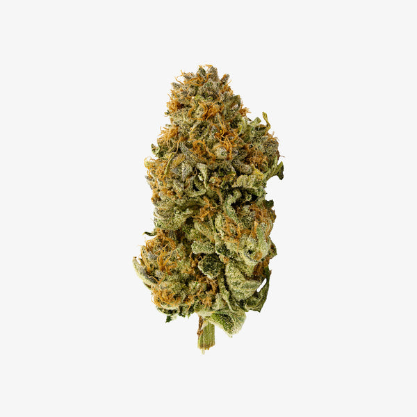 Image of Melonade THC-A flower bud on a white background