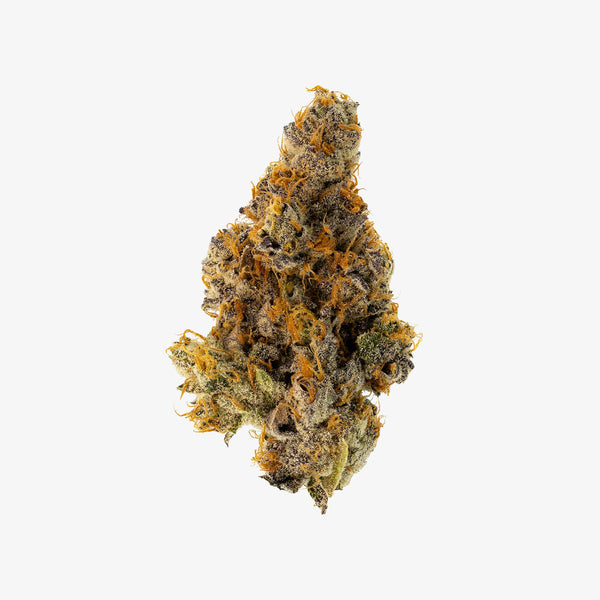 haze exotics thc-a flower sherbzooka detail