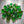 Load image into Gallery viewer, DELTA 9 HARD CANDY - GREEN APPLE - 10MG - REVENGE
